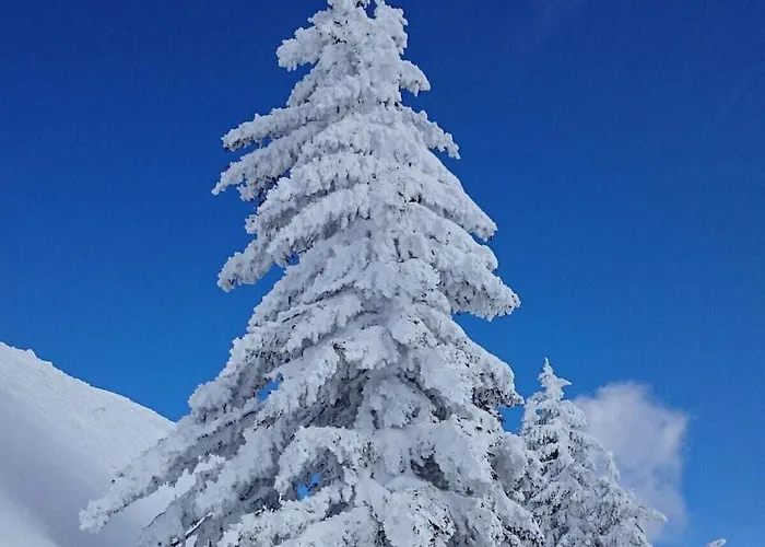 木屋 In Grossarl With Barbecue And Wi-fi 格罗萨尔